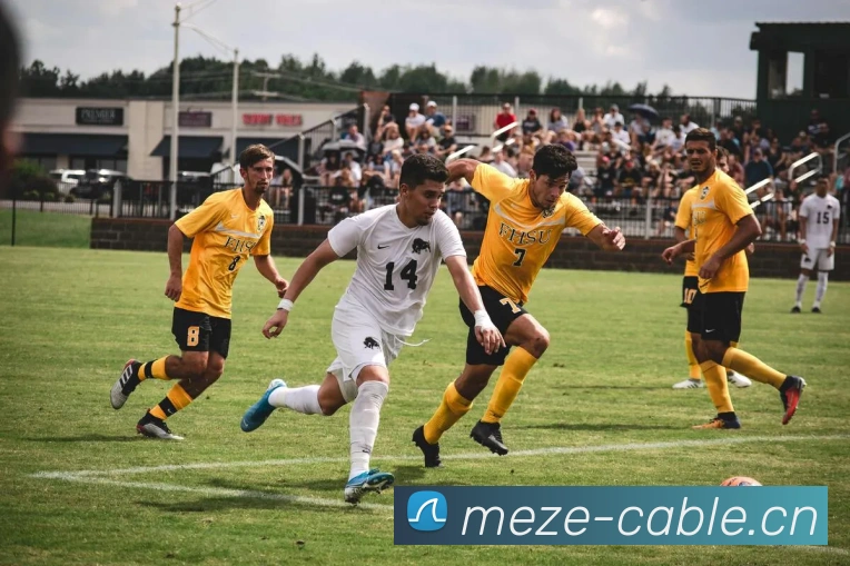 来球网免费直播nba平台生态图